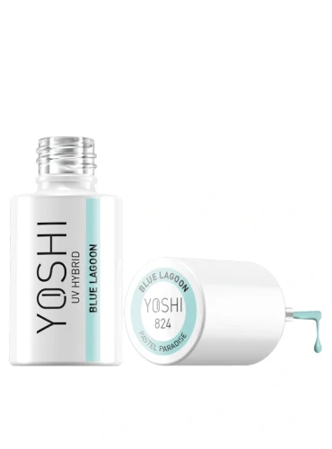 YOSHI 824 BLUE.webp