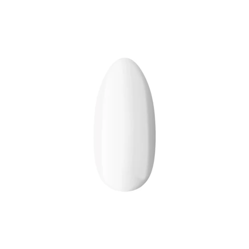 301-1p (1).png