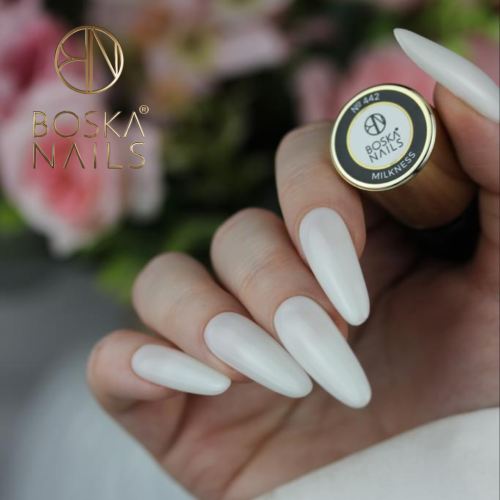 Projekt bez nazwy-2.png