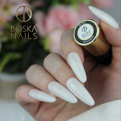 Projekt bez nazwy-3.png