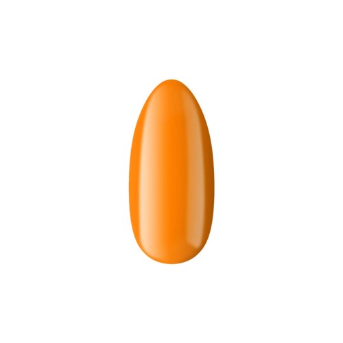 383_3.jpg