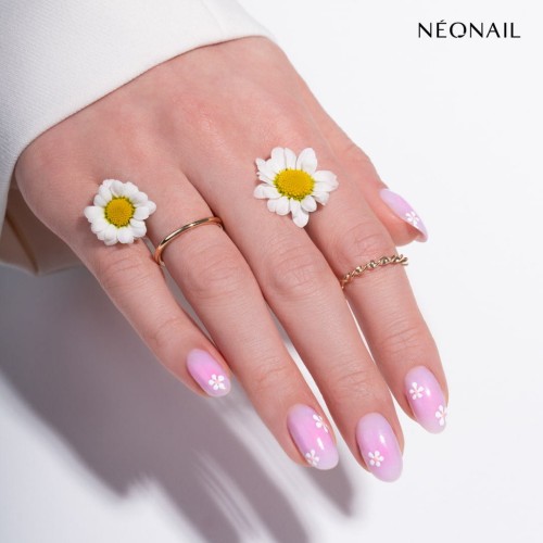 product-28521.jpg
