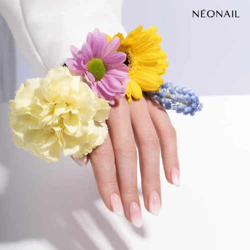 product-28526.jpg