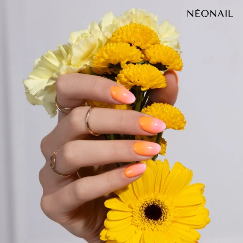 product-28528.jpg