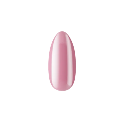 SA november pazurek.png