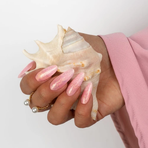 Seashell_Pink_K_05.jpg