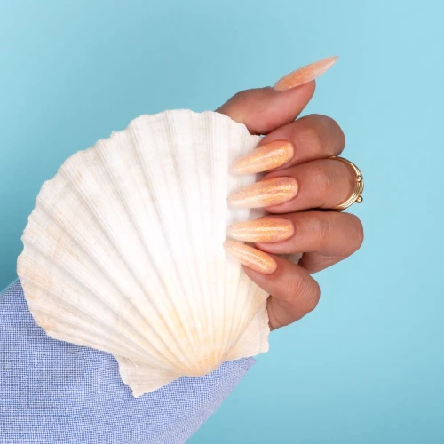 Coral_Coast_K_04.jpg