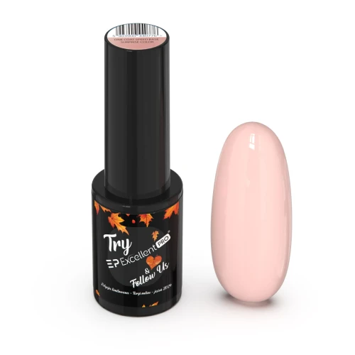 Excellent Pro Try Baza Speed Surprise Color 5g.jpg