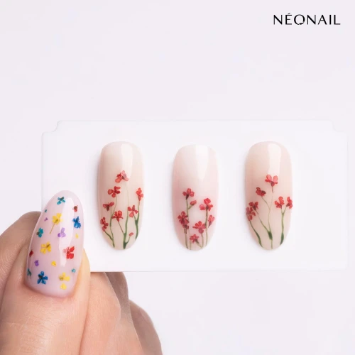 product-29065.jpg