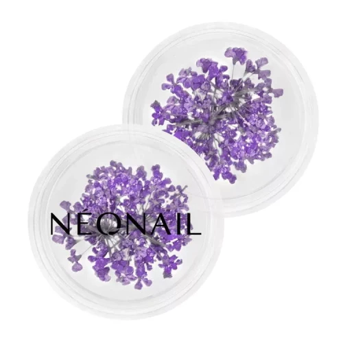 ozdoba-kwiaty-violet-061.webp