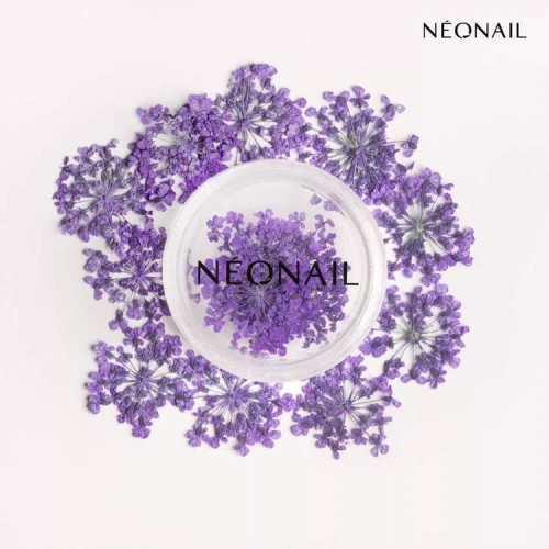ozdoba-kwiaty-violet-063.webp