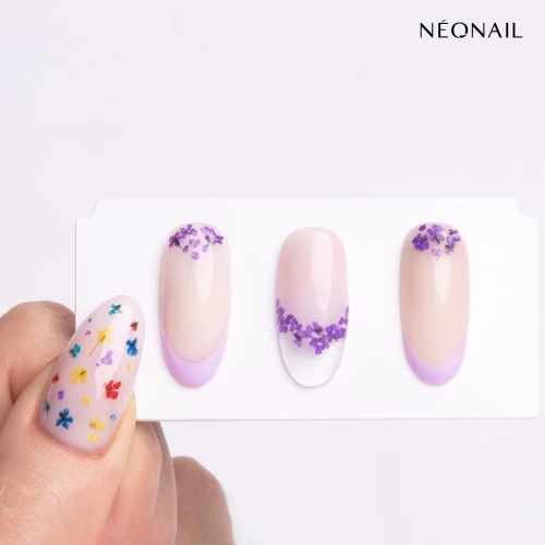 product-290634.jpg