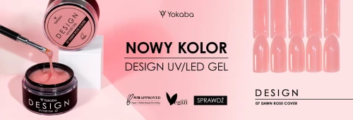 00_design 07_1920x660.jpg