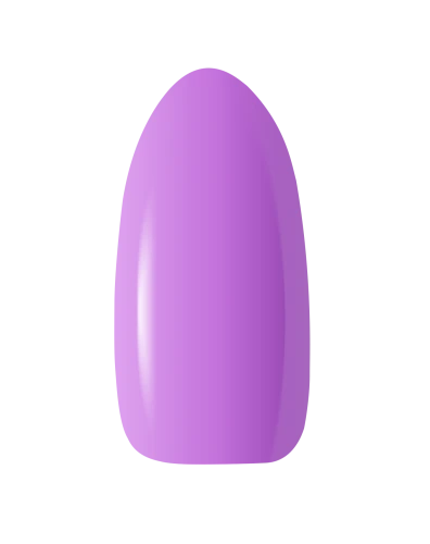 BEG_VIOLET.png