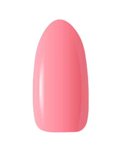 BEG_PEACH.png