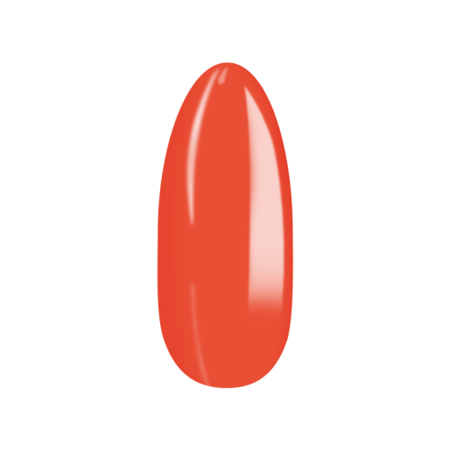 005_K_.png