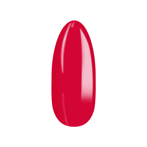 005_K_.png
