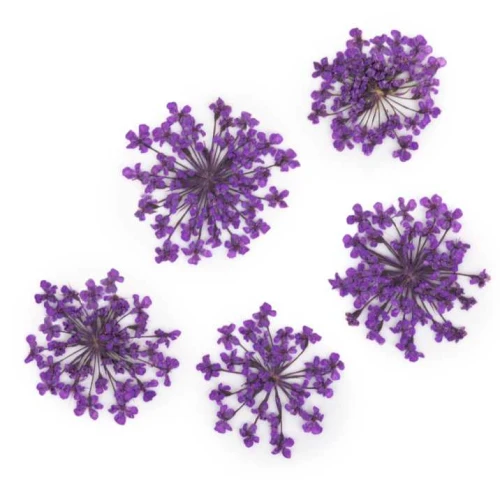 suszone-kwiaty-do-zdobien-paznokci-mollylac-purple-5szt.jpg