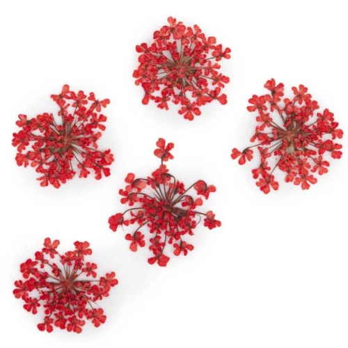 suszone-kwiaty-do-zdobien-paznokci-mollylac-red-5szt.jpg