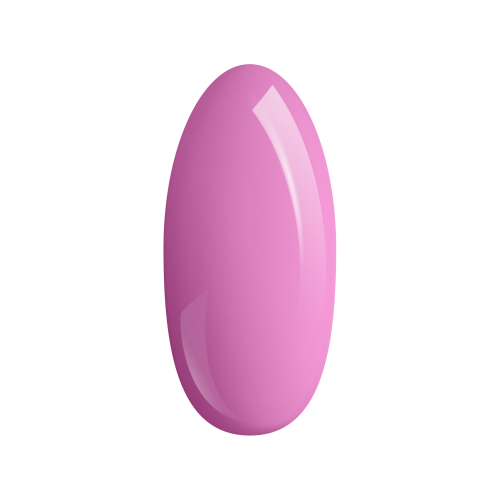 dsg.png