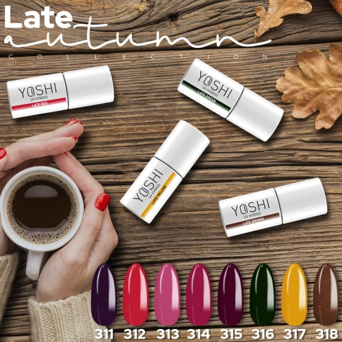 LateAutumn_7.jpg