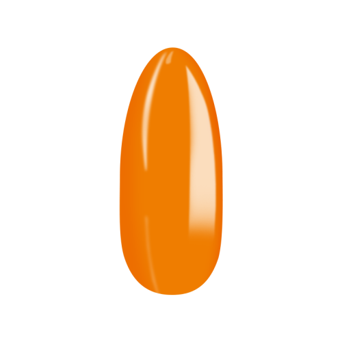 No_241_5.png