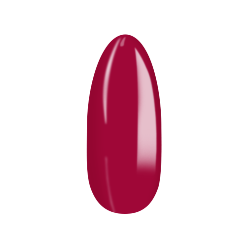 No_242_5.png