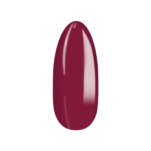 No_243_5.png