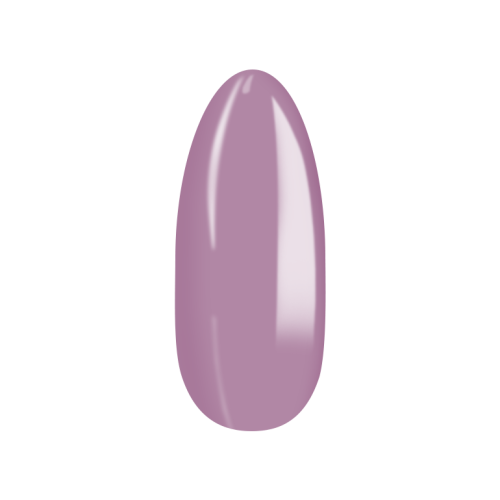 No_244_5.png