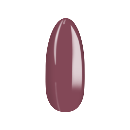No_245_5.png