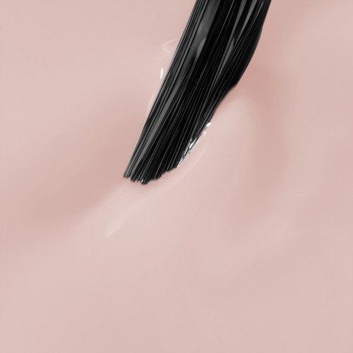 10820-7_2.jpg