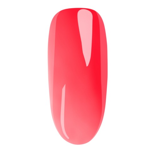 Watermelon Gloss (2).jpg