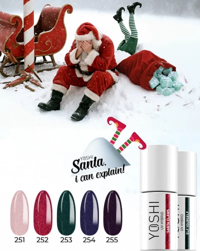 600x750_Santa_i_can_explain.jpg