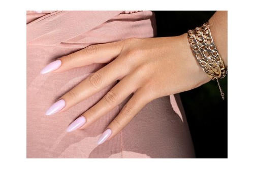 lily pink pazur.jpg