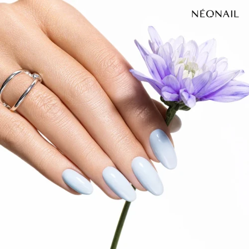 brave sky pazurki.webp