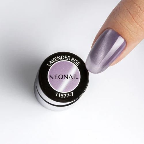 lavender rise.webp