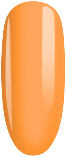 976 (2).png