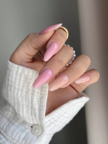 PEONY+MAGNOLIA.JPG
