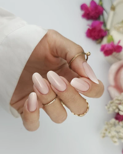 Top Magnolia+Babyboomer,.jpg