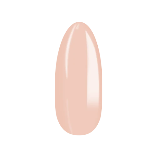 No_290_05.png