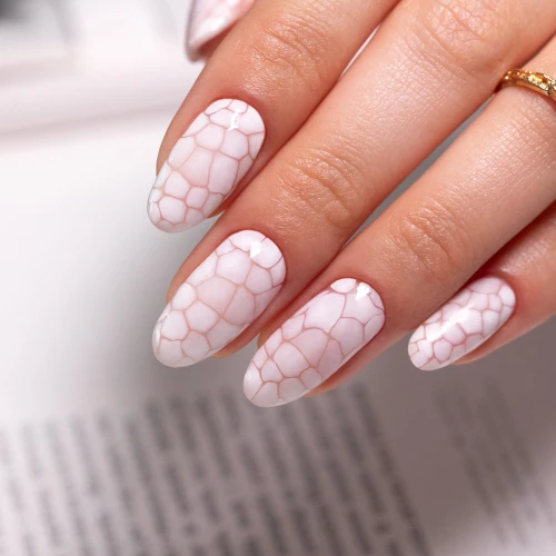 MollyNails Blooming Gel 2.jpg