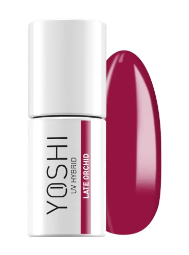 yoshi LATE ORCHID.webp