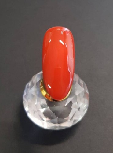 CZERWONY LAKIER HYBRYDOWY YOSHI.jpg